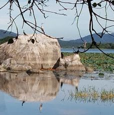 Yoda Lake-汉班托特