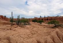 Sendero de Los Hoyos景点图片