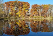 Gump Lake Park景点图片
