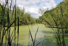 Clarence Escarpment Sanctuary景点图片