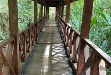 Secrets' bridge景点图片