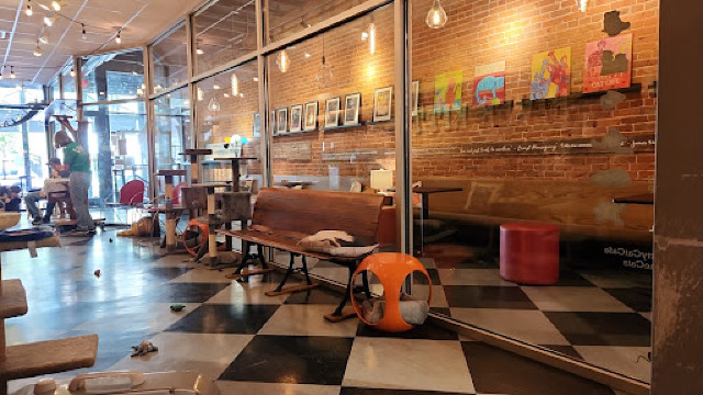 River Kitty Cat Cafe餐厅图片