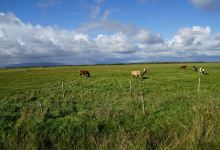 Byggðasafn Árnesinga景点图片