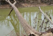River Walk Natural Area景点图片