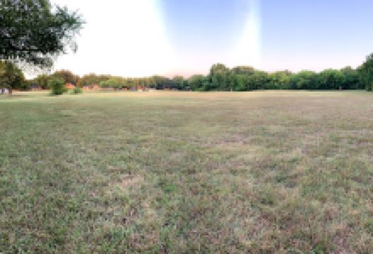 Quail Run Park景点图片