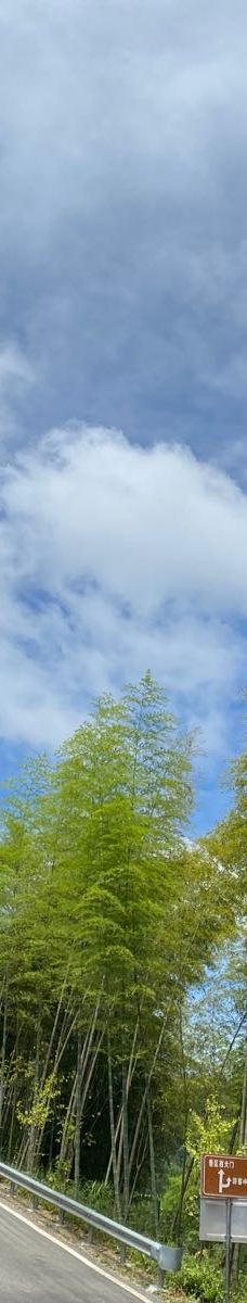 宣汉县峨城竹海公园-宣汉