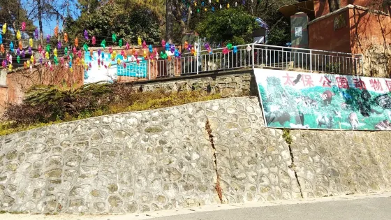 太保公園動物園