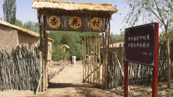 宗朗杏花村