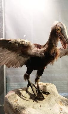 Musee des Dinosaures 'Dinosauria'-埃斯佩拉扎