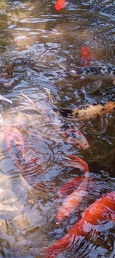 Wet 'N' Wild Waterworld-安东尼