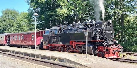 Löwenzahn - Entdeckerpfad