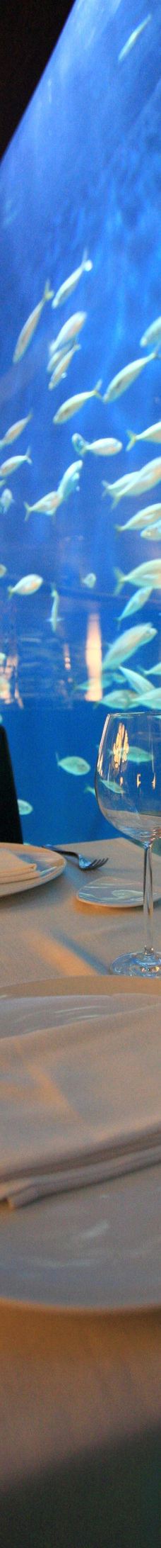 瓦伦西亚海洋公园-瓦伦西亚