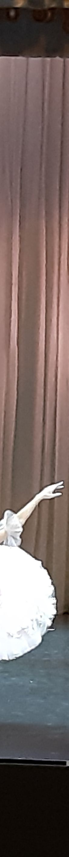 冬宫剧院-圣彼得堡