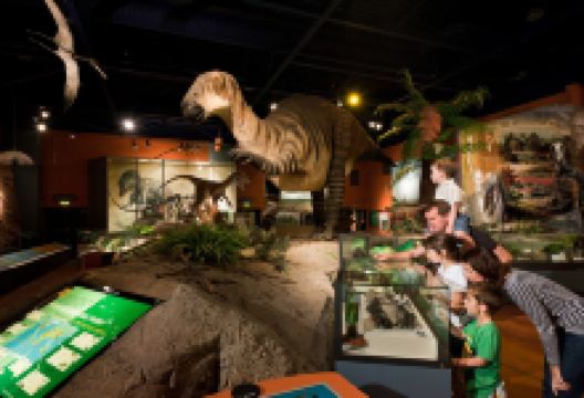 Dinosaur Isle景点图片