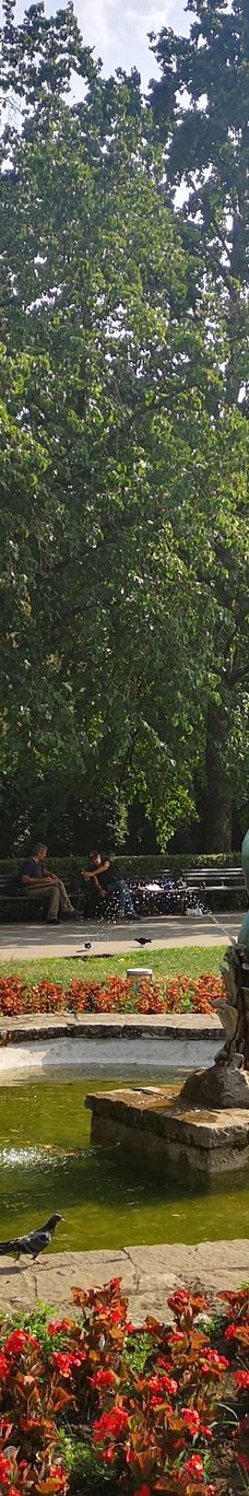 Danube Park-诺维萨德