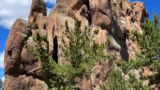 Devil's Head Lookout
