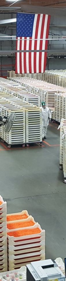 Jelly Belly Factory Tour-费尔菲尔德