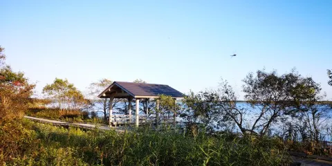 Lake Utonai Wildlife Conservation Center