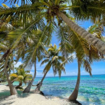 普拉圣西亚图片