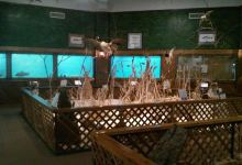 Pratt Fish Hatchery景点图片