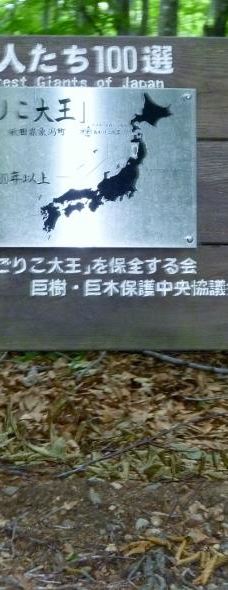 Nakajimadai Shishigahana Marsh-仁贺保市