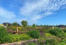 The Gardens of Appeltern景点图片