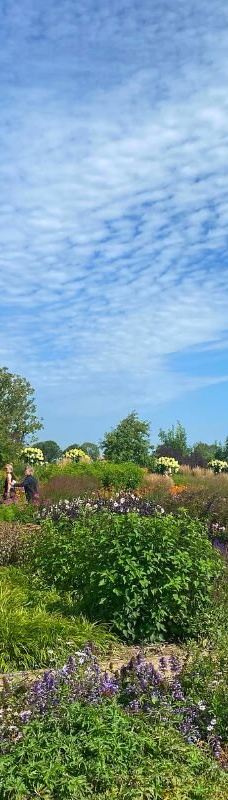 The Gardens of Appeltern-阿珀尔特伦