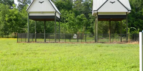 University of Florida Bat House