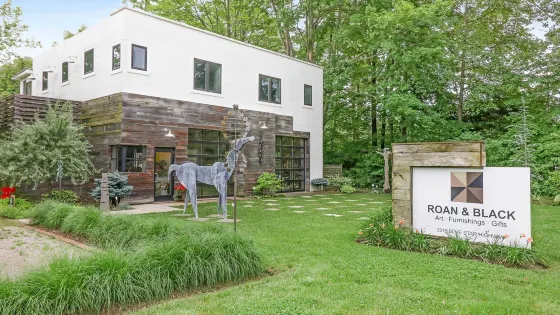 Roan and Black  Art Gallery and Home Collection Store