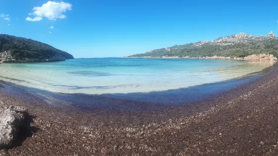 Beach Paraguan