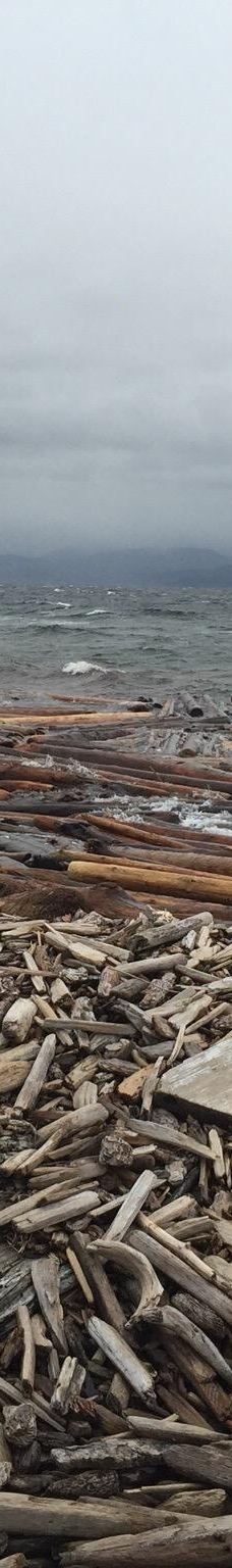 Rebecca Spit Marine Provincial Park-奎德拉岛