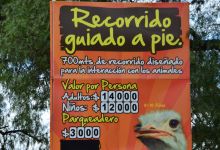 Granja de Avestruces景点图片