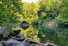 Pine Log Creek Trail景点图片