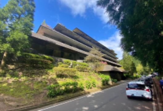 Monte Palace Hotel Ruins景点图片