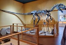 Paleon Museum in Glenrock景点图片