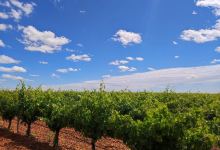 Vile la Finca景点图片