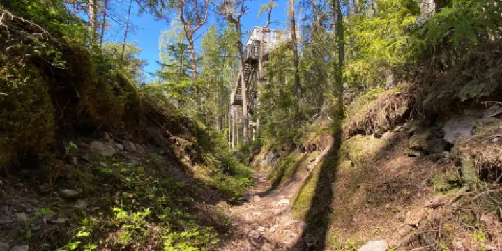 Reposaaren Linnakepuisto