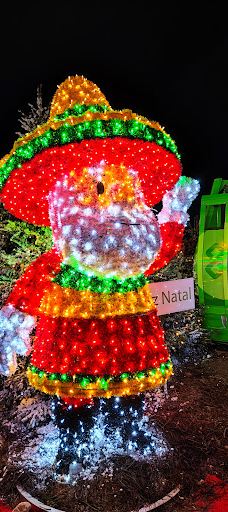 The pine forest of Le Barcarès-勒巴尔卡雷