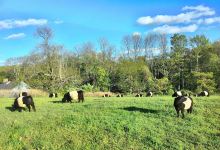 Totten Family Farm景点图片