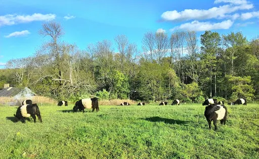 Totten Family Farm