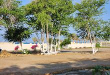 Al Shamkaiah park景点图片