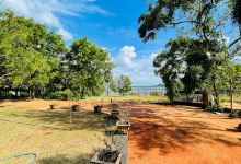 Nachchaduwa Nature Park景点图片