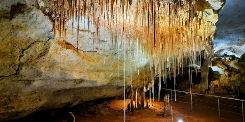 Wonambi Fossil Centre