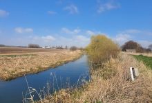 Skerne Wetlands景点图片