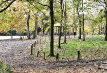 John Conner Nature Preserve Trail Park景点图片