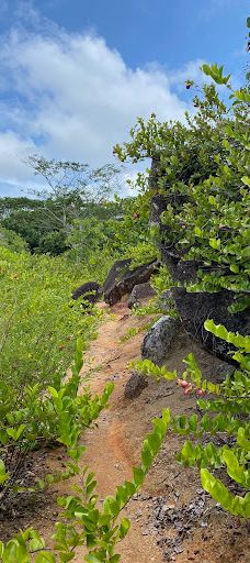 Nid D’Aigles (Eagle’s Nest)-拉迪格