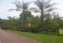 White River Country Estate购物图片