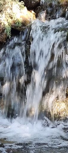 Parco della Pellerina-都灵