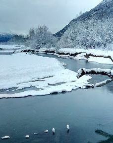 奇尔卡特河-海恩斯自治市镇