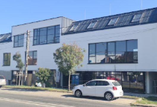 Green Gazda购物图片